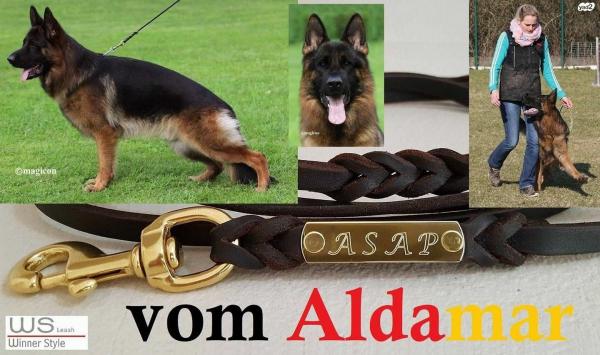 למכירה גורים רועה גרמני קו