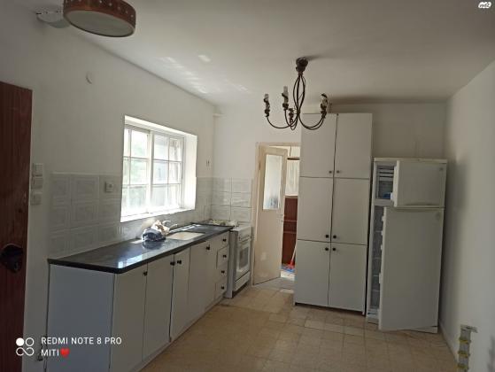 אלעזר בן יאיר 19