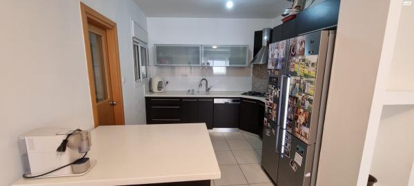 אגוזים 1 (סביוני ים)