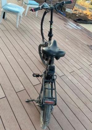 מומו דזיין שנת 2020 כמו