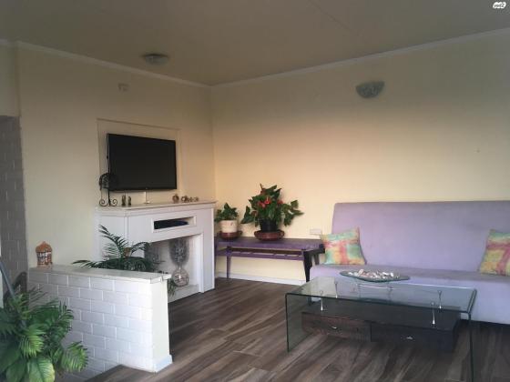 צבי הרמן שפירא 16 (אברמוביץ')