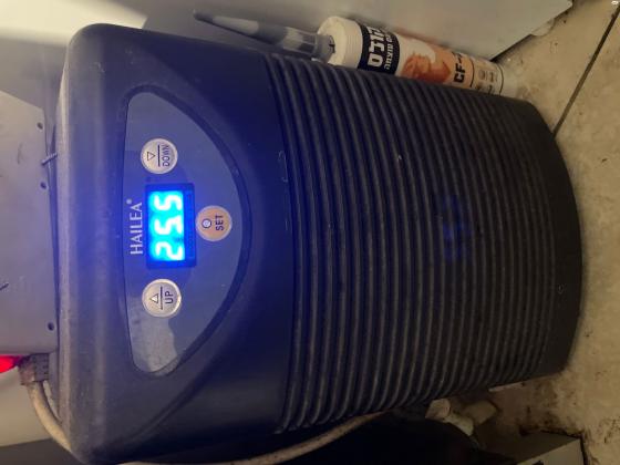 אקווריום מים מלוחים עומד 10