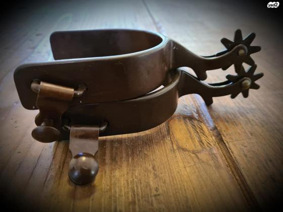 דורבן בהשראהגזזת פרסהעיצוב סולידיגוד...