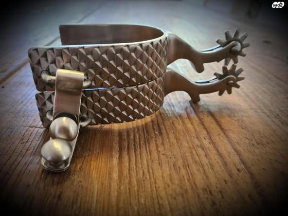 דורבן בהשראהגזזת פרסהעיצוב סולידיגוד...