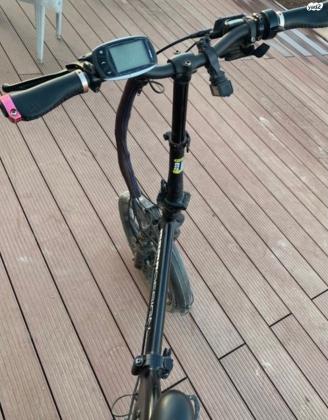 מומו דזיין שנת 2020 כמו