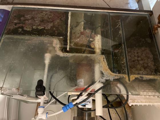 אקווריום מים מלוחים עומד 10