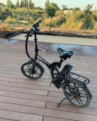 מומו דזיין שנת 2020 כמו