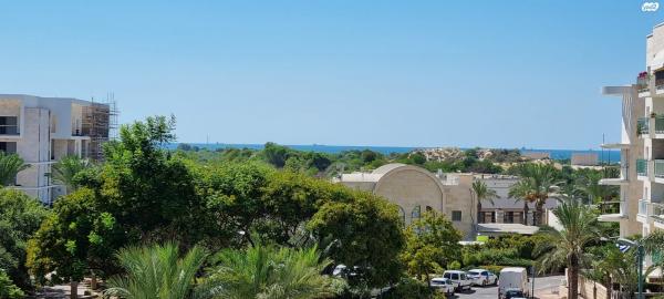 אגוזים 1 (סביוני ים)