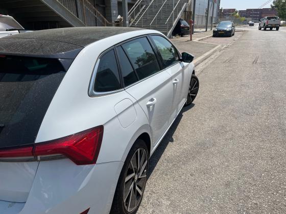 סקודה סקאלה (2020)