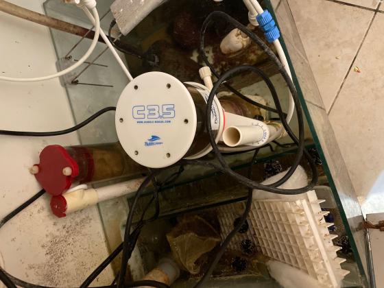 אקווריום מים מלוחים עומד 10