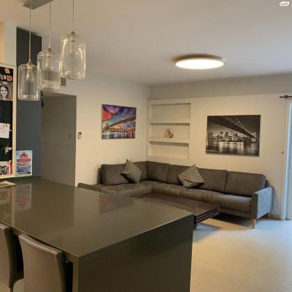 יונה צבי פיינשטיין 9 (מישור הנוף)