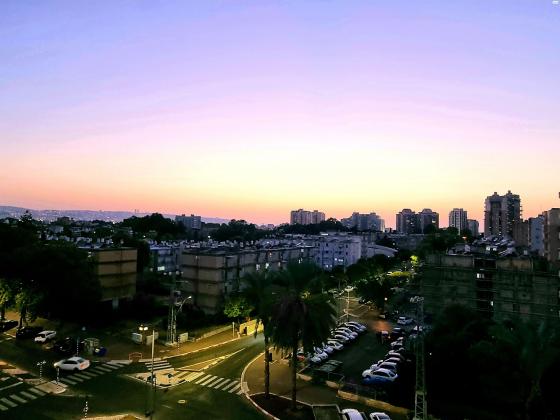 ורד 28 (לב העיר)