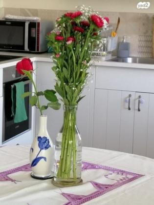 הראשונים 5 (הדר)