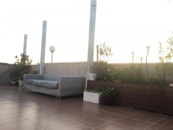 צבי הרמן שפירא 16 (אברמוביץ')