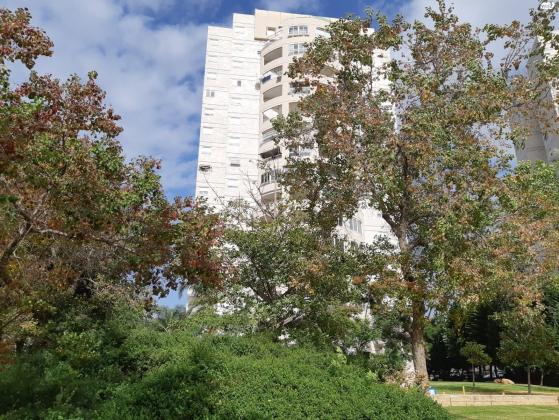 שדרות צפריר 5 (נווה רבין)