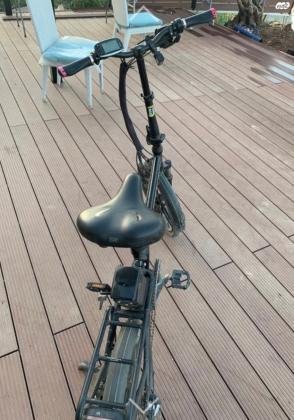 מומו דזיין שנת 2020 כמו