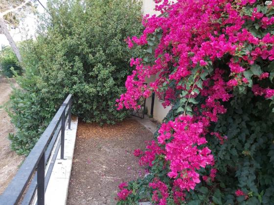 אלברט איינשטיין 111 (גבעת דאונס)