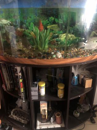 למכירה אקווריום פנורמי קומפלט כולל:משא...