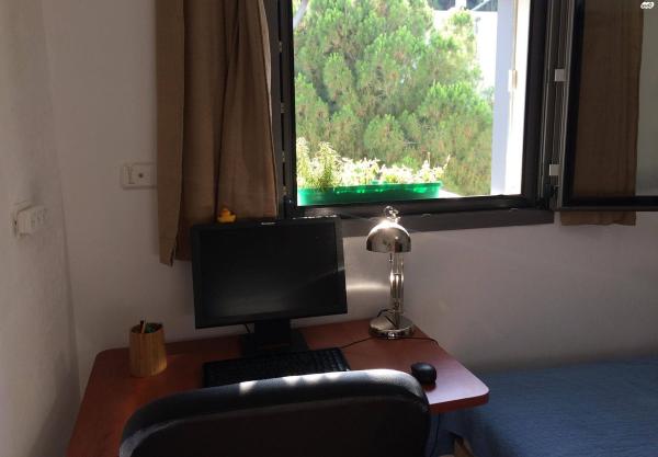 אריה לובה אליאב 18 (זיו)