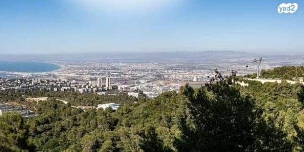 מנדל זינגר 15 (סביוני הכרמל)