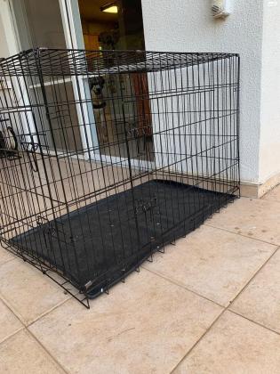 כלוב אילוף למכירה לא היה