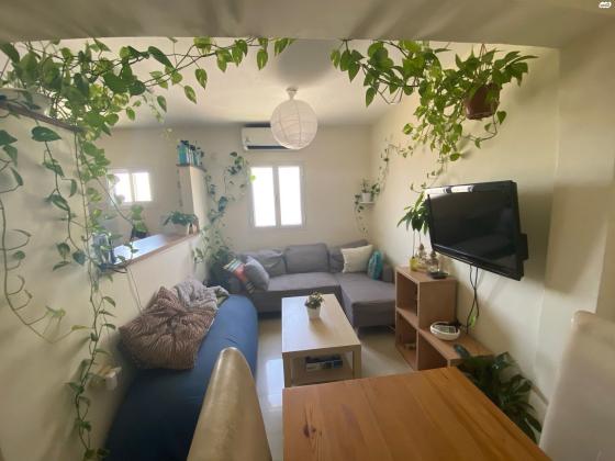 אלפרד רוסי 3 (שכונה ד)