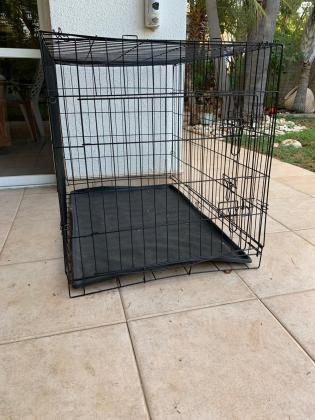 כלוב אילוף למכירה לא היה