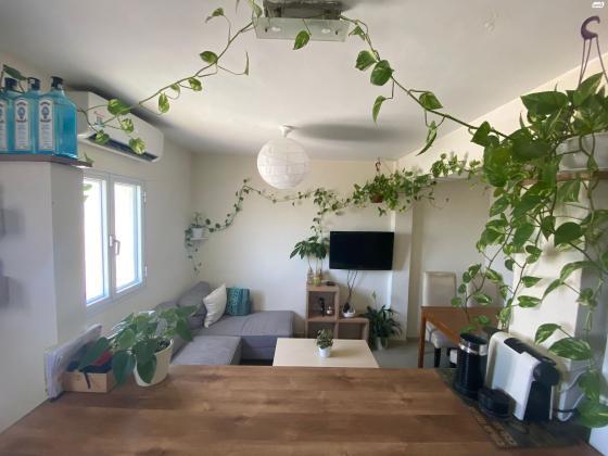 אלפרד רוסי 3 (שכונה ד)