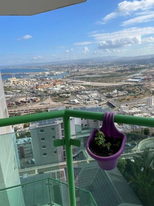 נתיב חן 33 (נוה שאנן)