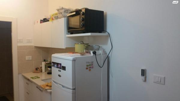 אריה לובה אליאב 18 (זיו)