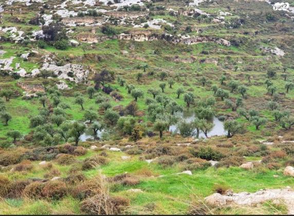 יצחק רפאל 6 (חומת שמואל;הר חומה)