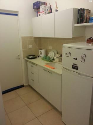 אריה לובה אליאב 18 (זיו)