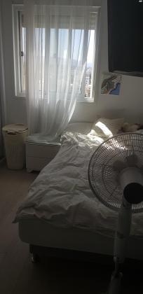 ירח אב 13 (הכרמים (ציפור))