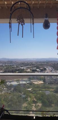 ירח אב 13 (הכרמים (ציפור))