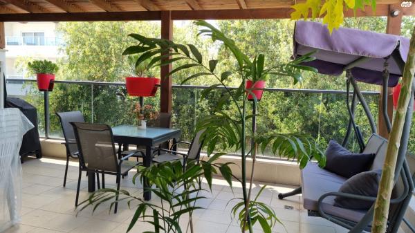 סוקולוב 43 (מרכז העיר)