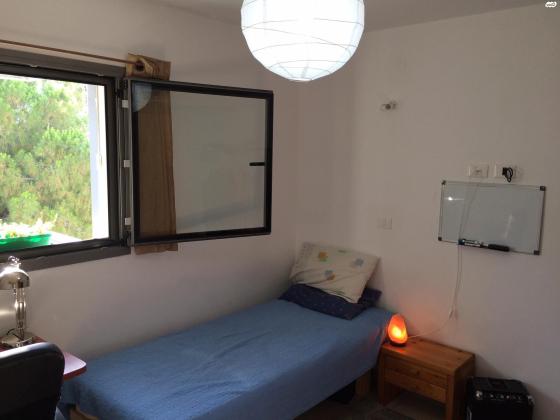 אריה לובה אליאב 18 (זיו)