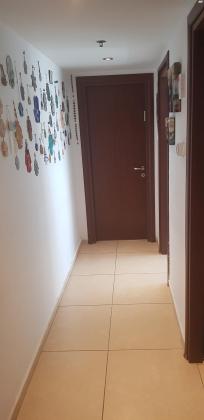 ירח אב 13 (הכרמים (ציפור))