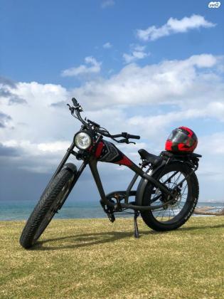 אופניים חשמליות סטייל הארלי דוידסון