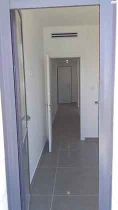 אבנר חי שאקי 24 (גילה)