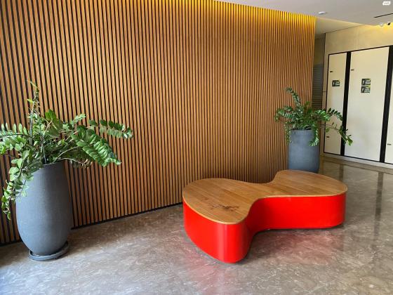 חנה אורלוף 3 (המשתלה)