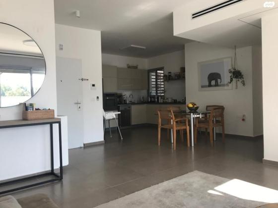 אלכסנדר סשה ארגוב 64