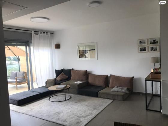 אלכסנדר סשה ארגוב 64