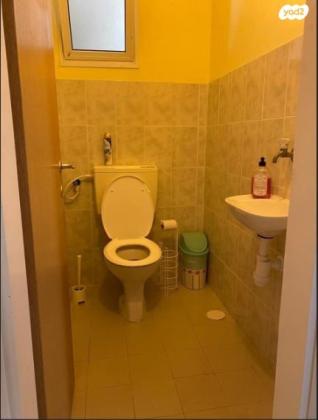 דרך לוד הירוקה 3 (גני יער)