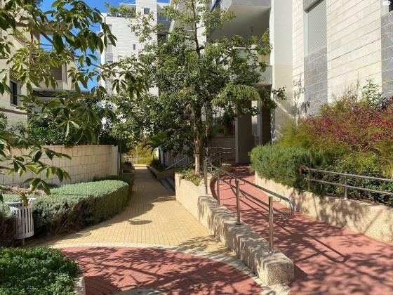 חנה אורלוף 3 (המשתלה)