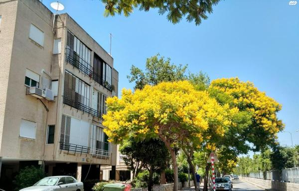 דרך עכו חיפה 83 (מוצקין הותיקה)