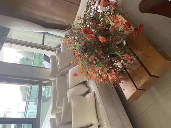 יאיר רוזנבלום 17 (אזורי חן)