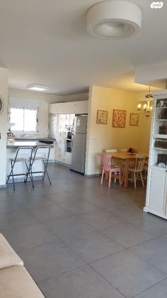 דב ברייר 13 (אפרידר)