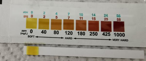 למכירה רנצ'יליו סילביה מהדגם החדש