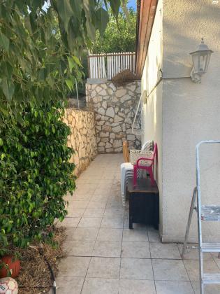 ניצנית 6 (זאב)