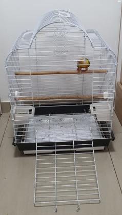 קוניור אננס האכלת יד ברמה